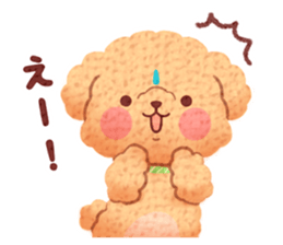 Toy poodle want your attention. sticker #8909809