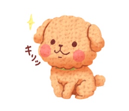 Toy poodle want your attention. sticker #8909810