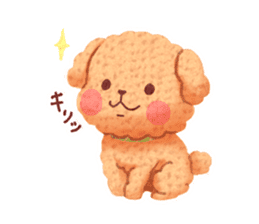Toy poodle want your attention. sticker #8909810