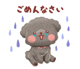 Toy poodle want your attention. sticker #8909812