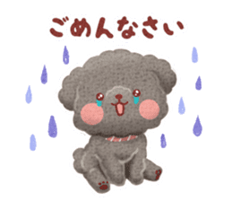 Toy poodle want your attention. sticker #8909812