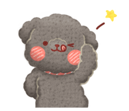 Toy poodle want your attention. sticker #8909813