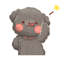 Toy poodle want your attention. sticker #8909813