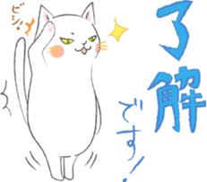 White Cat 's everyday sticker #8917741
