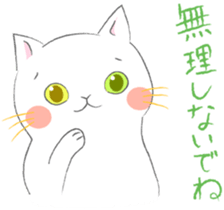 White Cat 's everyday sticker #8917770