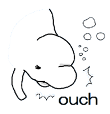 Beluga life 2 sticker #8920111