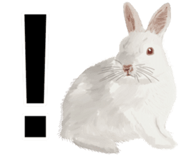 Super cute rabbit2 sticker #8920383