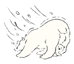 Animals of the Arctic & the Antarctic 3 sticker #8920746