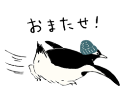 Animals of the Arctic & the Antarctic 3 sticker #8920772