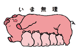 princess pig2 sticker #8921984