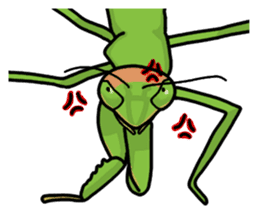 Daily life of mantis sticker #8926749
