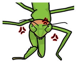 Daily life of mantis sticker #8926749