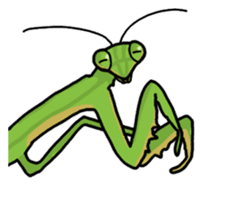 Daily life of mantis sticker #8926760