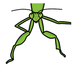 Daily life of mantis sticker #8926776