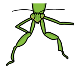 Daily life of mantis sticker #8926776