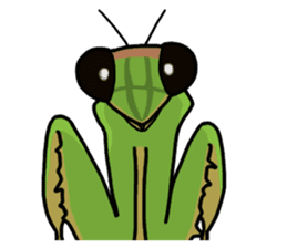 Daily life of mantis sticker #8926781