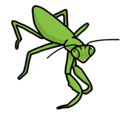 Daily life of mantis sticker #8926782