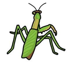 Daily life of mantis sticker #8926783