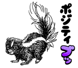skunk sticker #8927273
