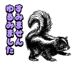 skunk sticker #8927284