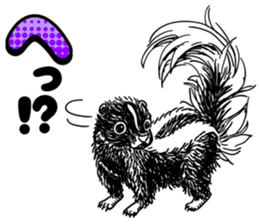 skunk sticker #8927285