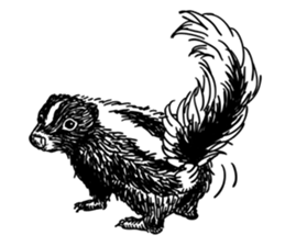 skunk sticker #8927286