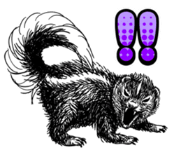 skunk sticker #8927290