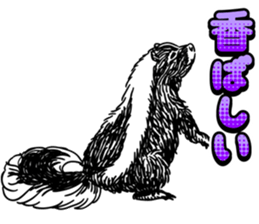 skunk sticker #8927297