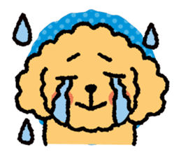 Toy poodle note POP sticker #8928230