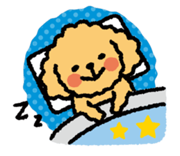 Toy poodle note POP sticker #8928239