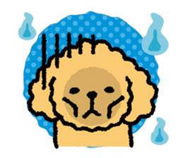 Toy poodle note POP sticker #8928256