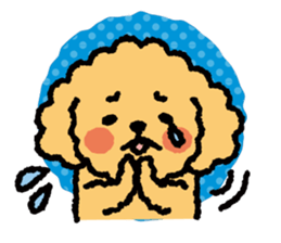 Toy poodle note POP sticker #8928257
