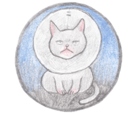cat_circle sticker #8929249