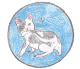 cat_circle sticker #8929254