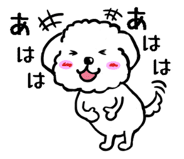 Maru the Maltese dog sticker #8929465