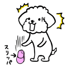 Maru the Maltese dog sticker #8929469