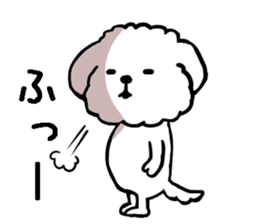 Maru the Maltese dog sticker #8929496