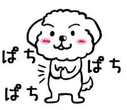 Maru the Maltese dog sticker #8929497