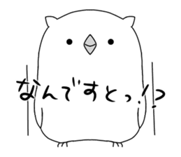 white owl sticker #8930245