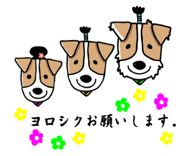 SAMURAI Jack Russell terrier FIN sticker #8930812