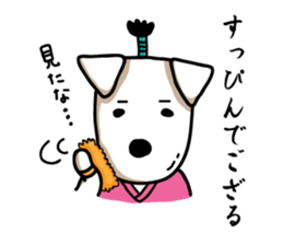SAMURAI Jack Russell terrier FIN sticker #8930816