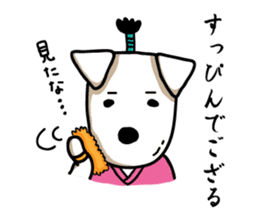 SAMURAI Jack Russell terrier FIN sticker #8930816