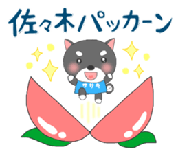 For SASAKI'S Sticker sticker #8931545