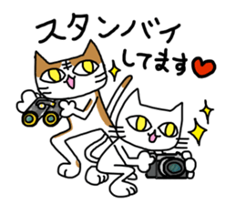 Musical cats sticker #8932033