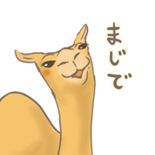 Easygoing Camel sticker #8932145