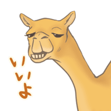 Easygoing Camel sticker #8932150