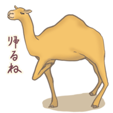Easygoing Camel sticker #8932153