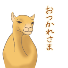 Easygoing Camel sticker #8932156