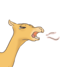 Easygoing Camel sticker #8932158