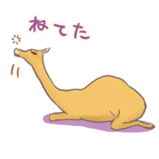 Easygoing Camel sticker #8932160